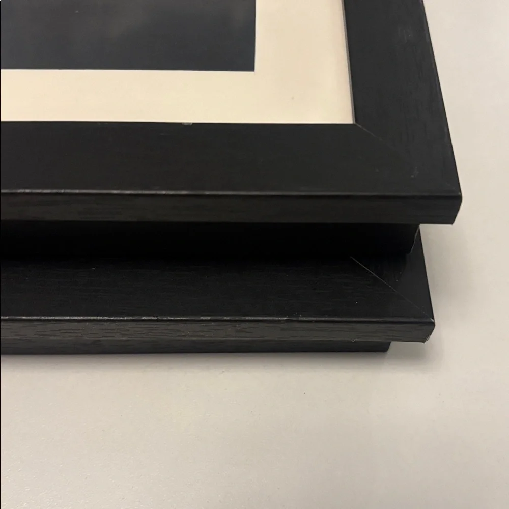Elegant Black and White Picture Frame Set